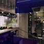 vue_ensemble thumbnail
